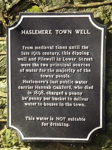Haslemere Town Well Plaque