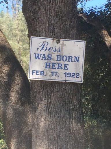 Bess Was Born Here