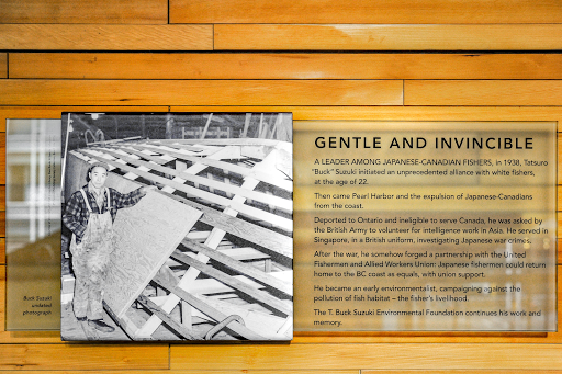 Gentle and Invincible (T Buck Suzuki)