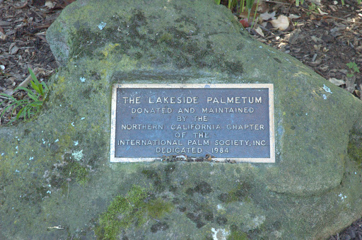 Lakeside Palmetum