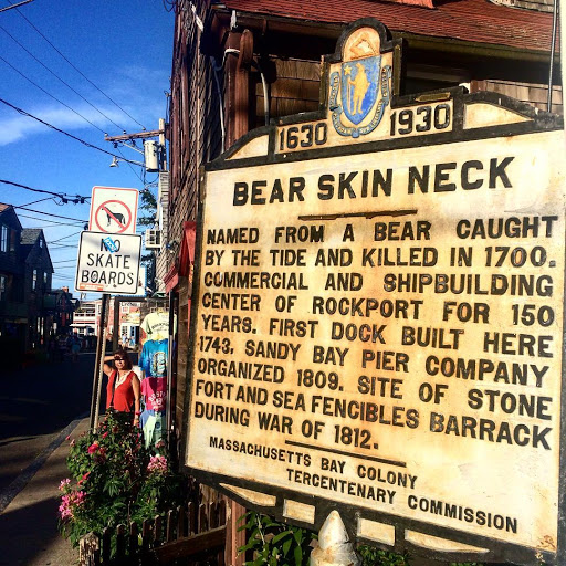 Bear Skin Neck