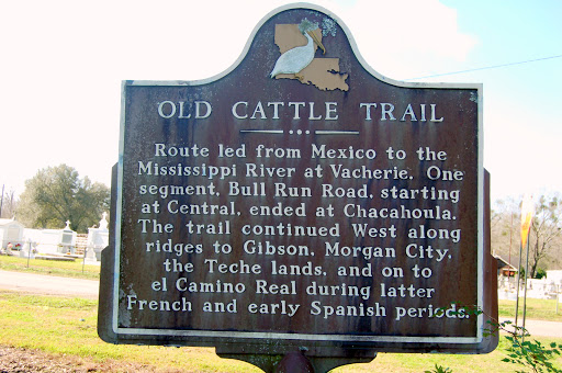 Old Cattle Trail