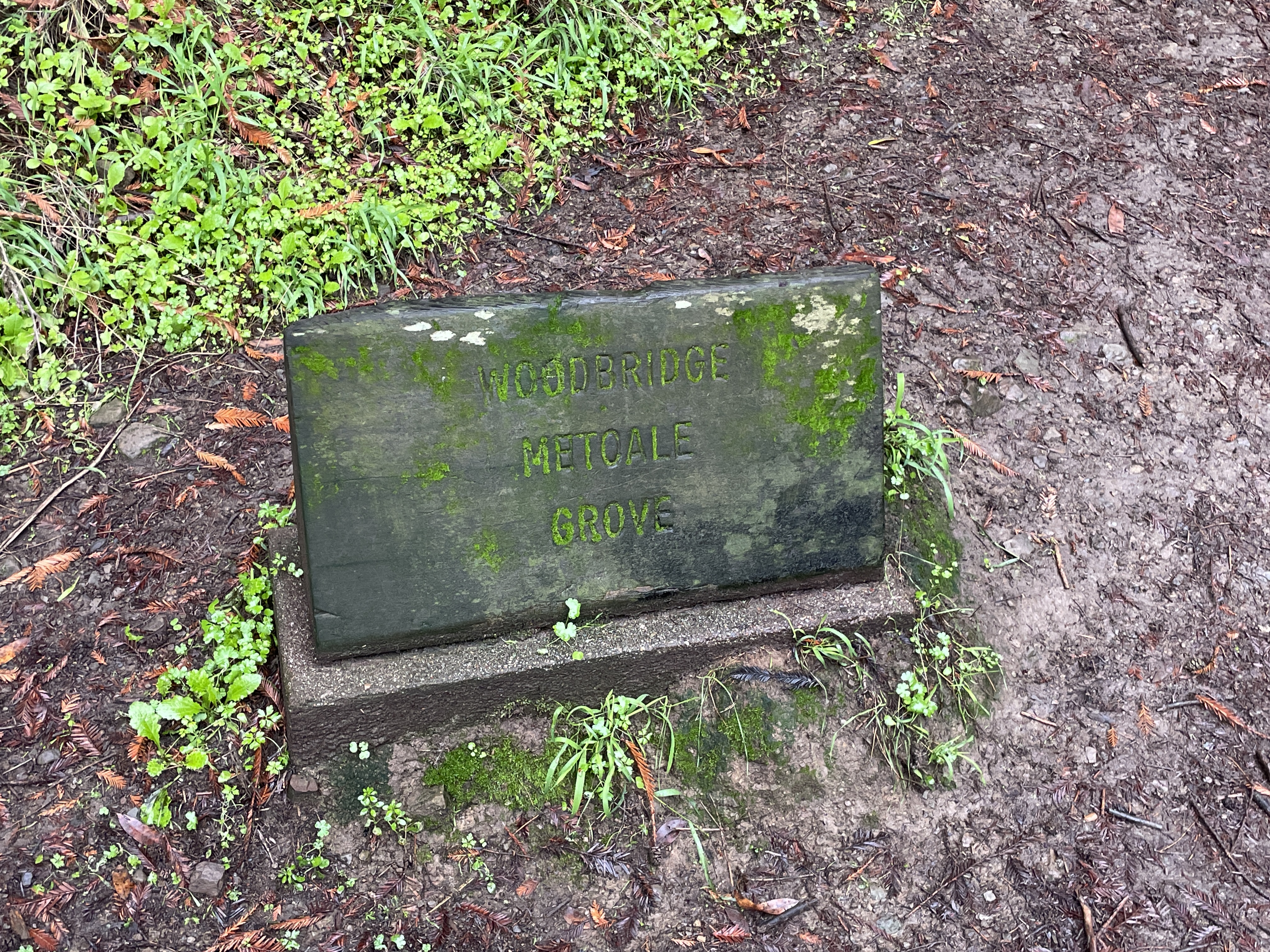 Woodbridge Metcale Grove