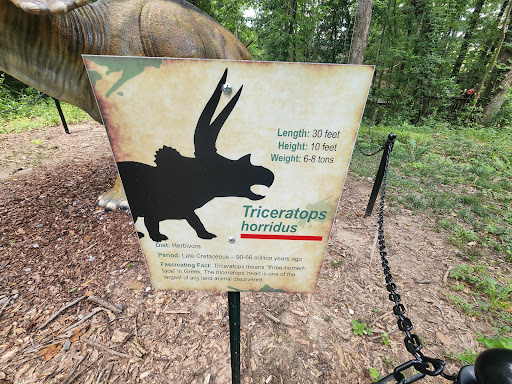 Triceratops horridus