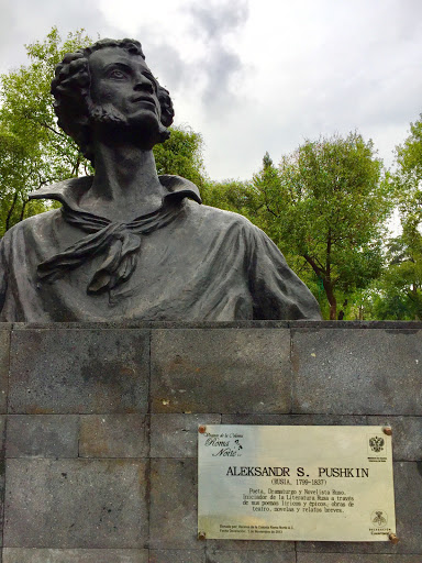 Pushkin Df