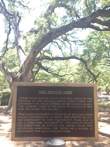The Battle Oaks