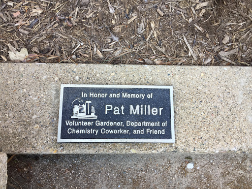 Pat Miller