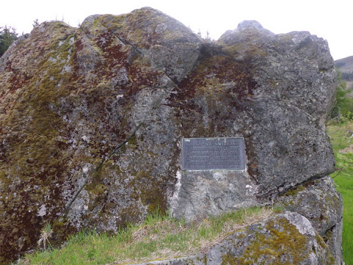 The Cockstane - south face
