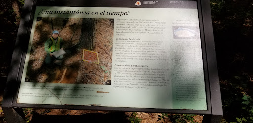 ¿Una instantánea en el tiempo?