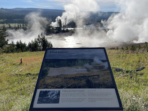 Mud Geyser