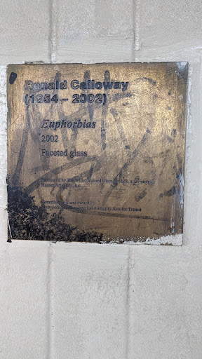 Ronald Calloway, "Euphorbias"