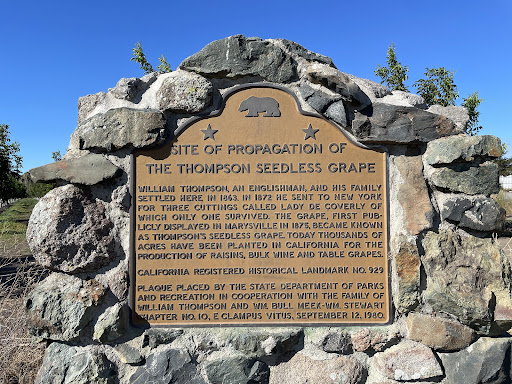 Site of Propagation of the Thompson Seedless Grape