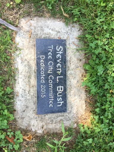 Steven L. Bush