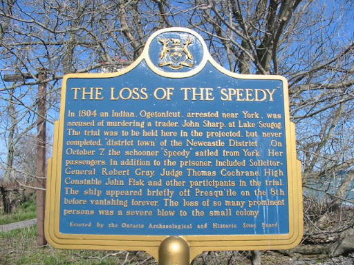 The Loss of the "Speedy"