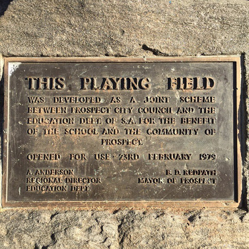 This Playing Field