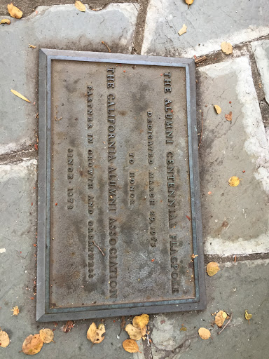 Centennial Flagpole