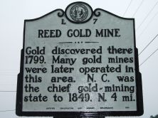 REED GOLD MINE