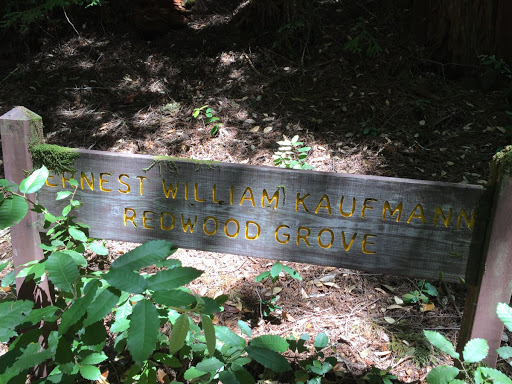 Ernest William Kauffman Redwood Grove