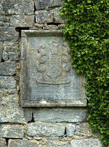 Castles of Connacht: Castle Ffrench, Galway - detail (2)