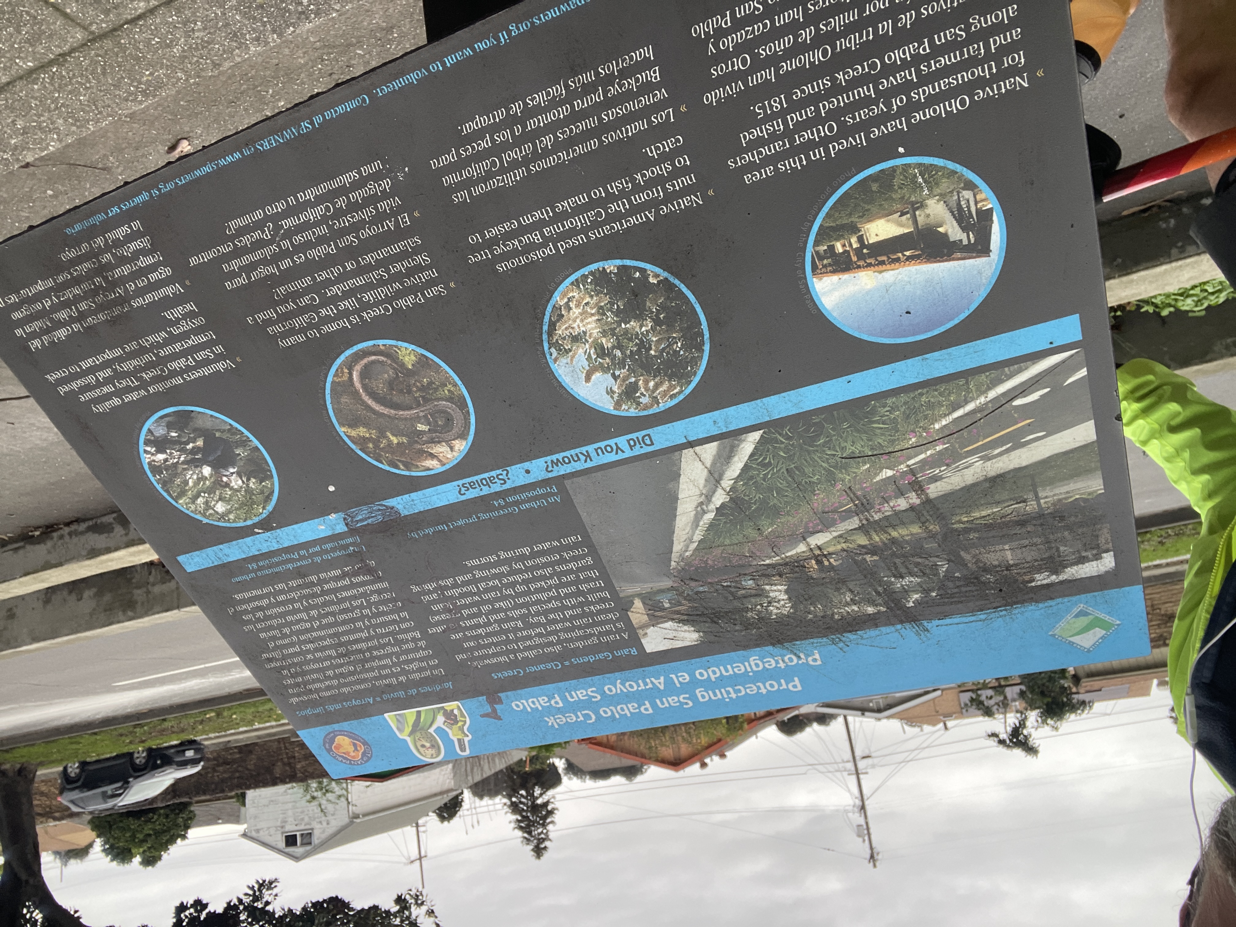 Protecting San Pablo Creek