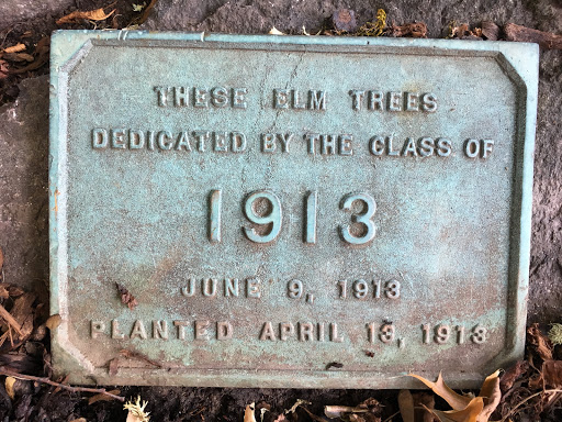 Class of 1913 Tree Dedication