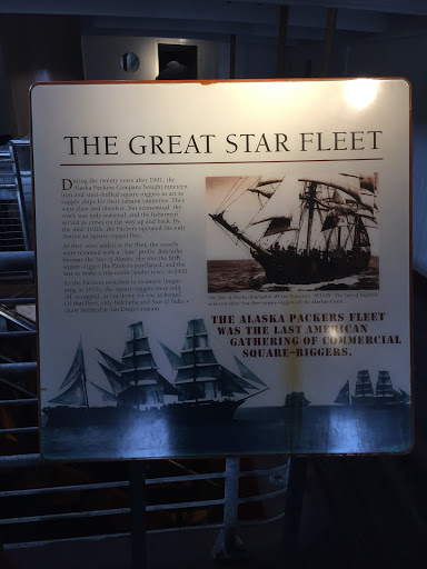 The Great Star Fleet