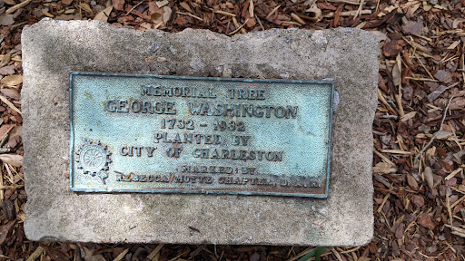 Memorial Tree George Washington