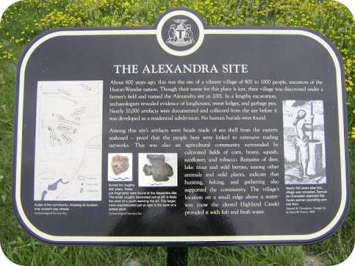 The Alexandra Site