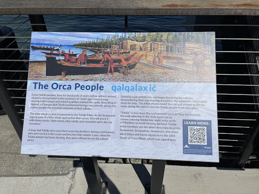 The Orca People