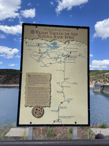 Flaming Gorge - Uintas