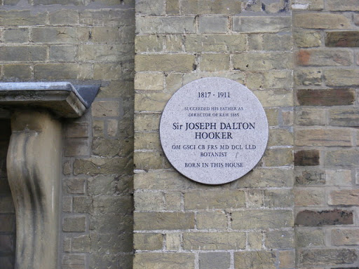 Sir Joseph Doulton Hooker