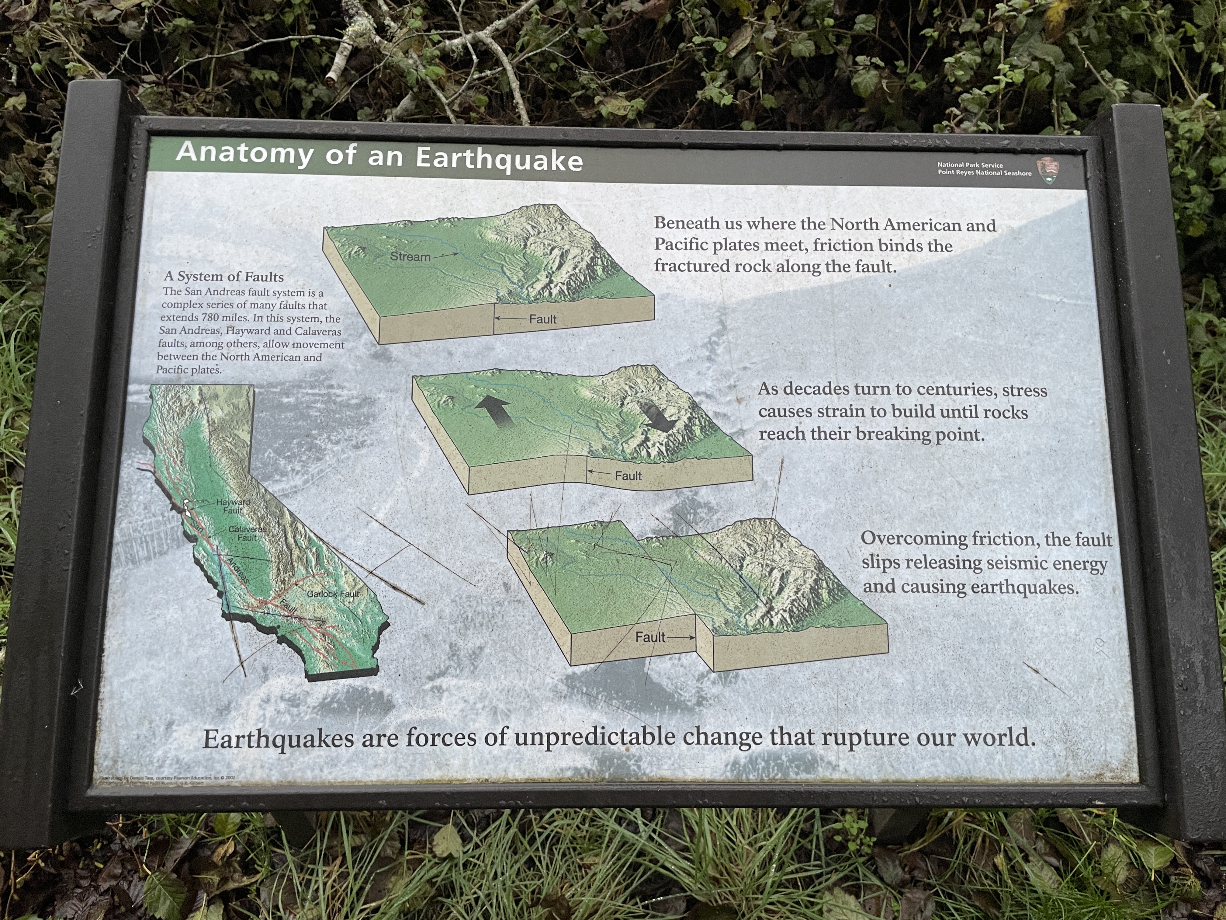 Anatomy of an Earthquake