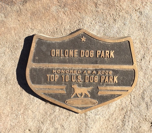 Top 10 U.S. Dog Park