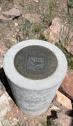 Red Canyon Overlook