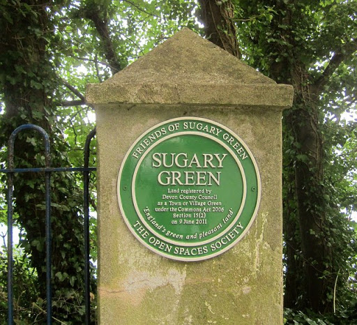 Plaque, Sugary Green