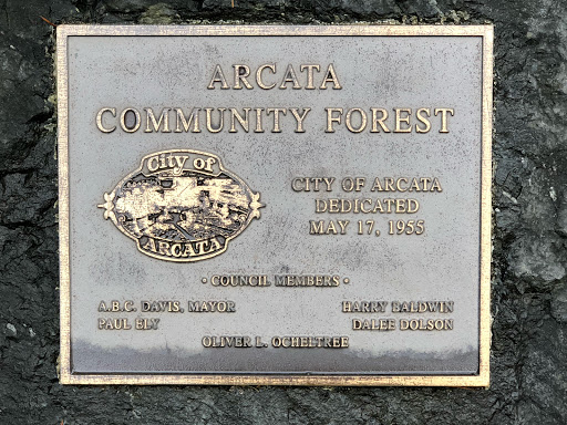 Arcata Community Forest