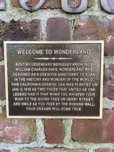 Welcome to Wonderland