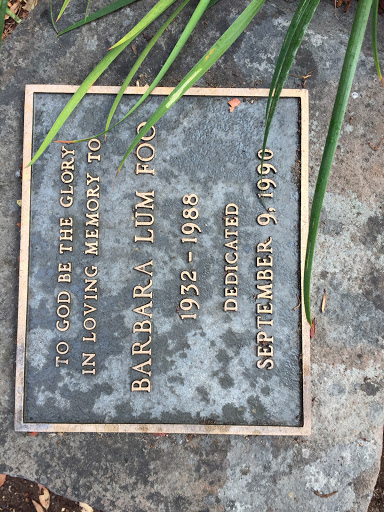 Barbara Lum Foo