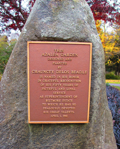 Beadle Azalea Garden