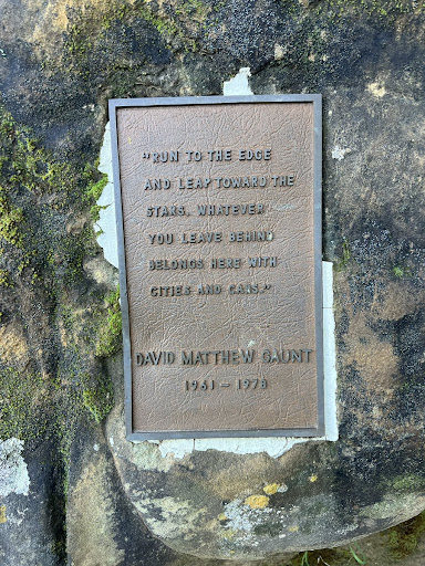 David Matthew Gaunt