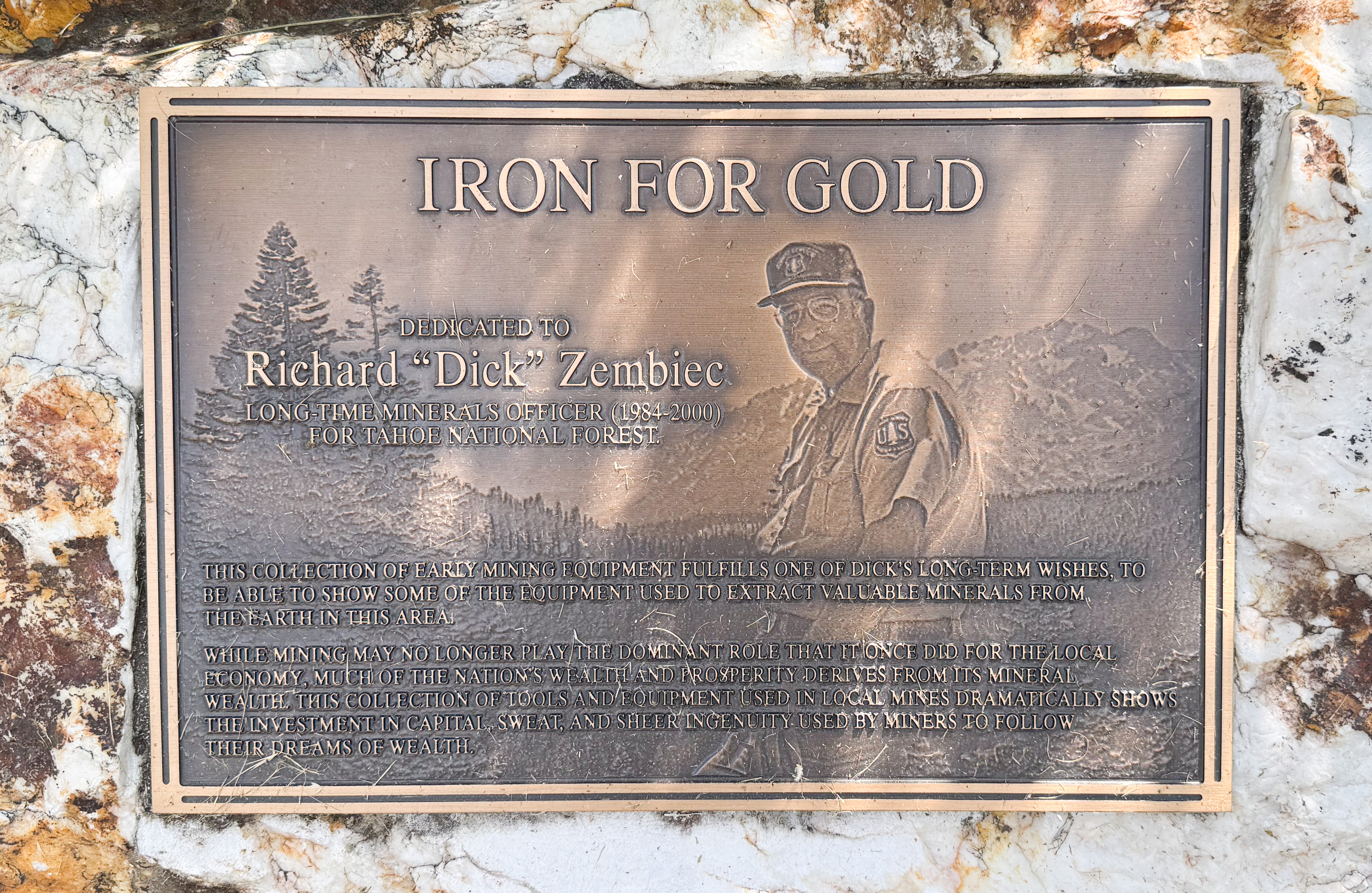 Iron for Gold