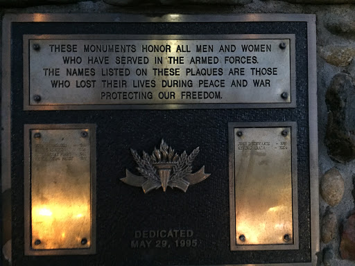 Protecting our Freedom