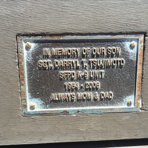 In Memory of Our Son