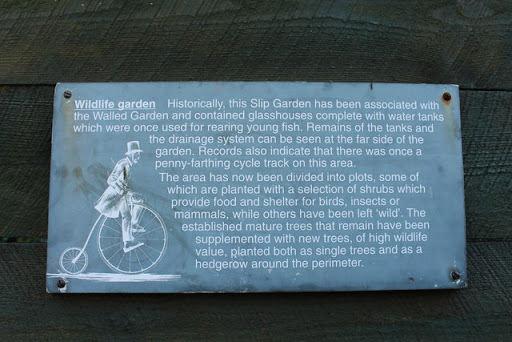Wildlife Garden, Culzean Country Park