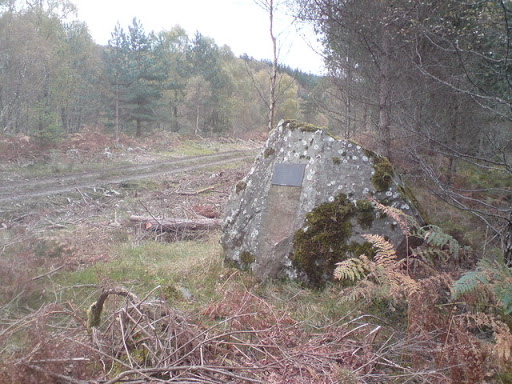 John Trower Wood