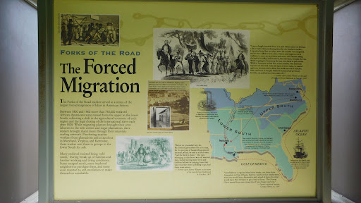 The Forced Migration - Forks of the Road