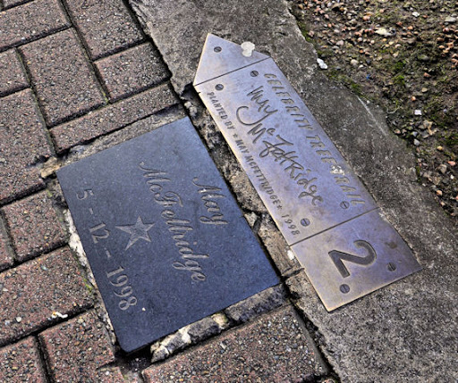 Tree plaque, Belfast (2)
