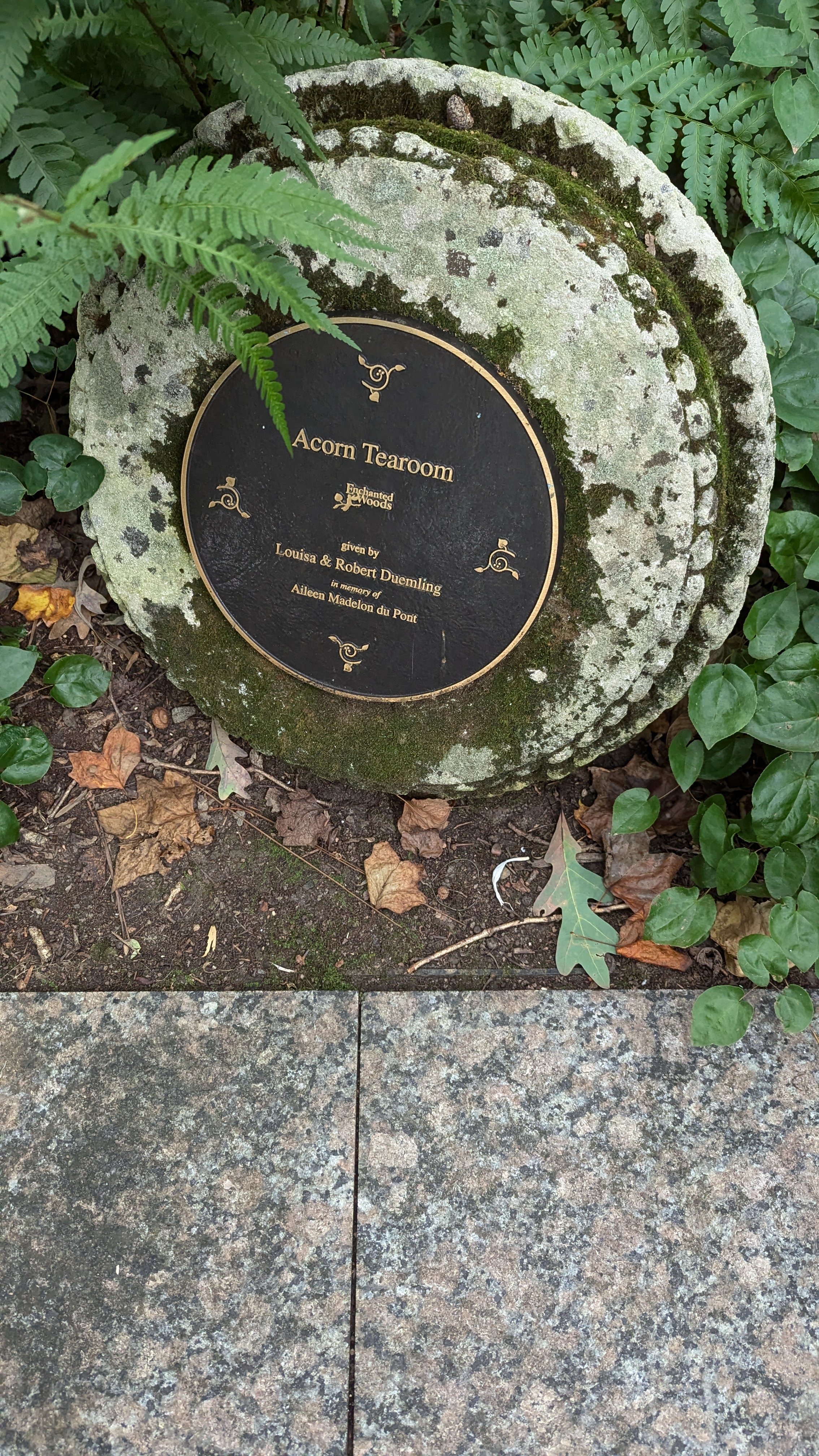 Acorn Tearoom