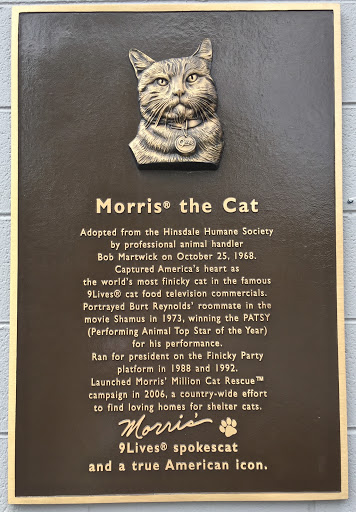 Morris