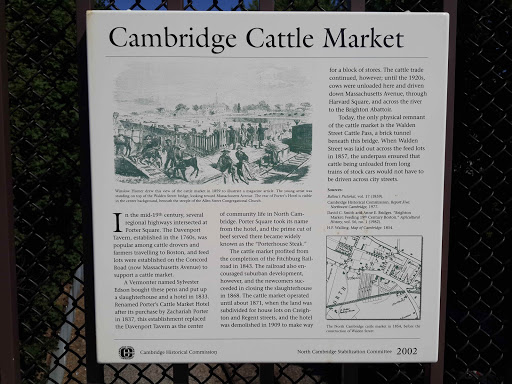 Cambridge Cattle Market